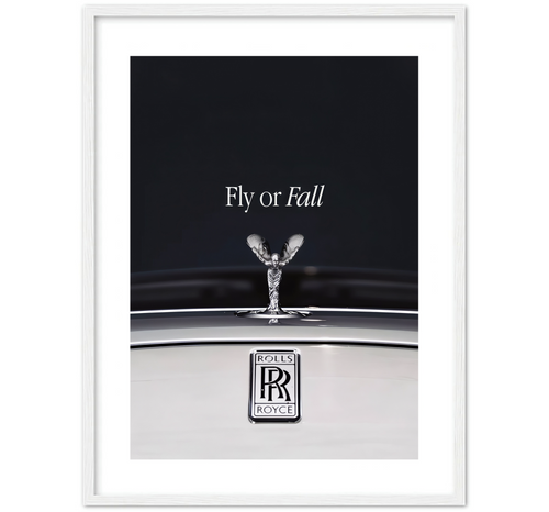 FLY OR FALL