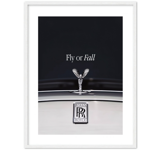 FLY OR FALL