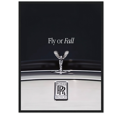 FLY OR FALL
