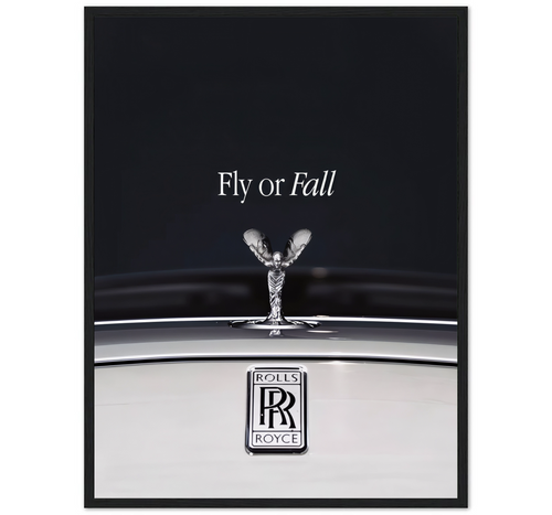 FLY OR FALL