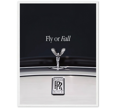 FLY OR FALL