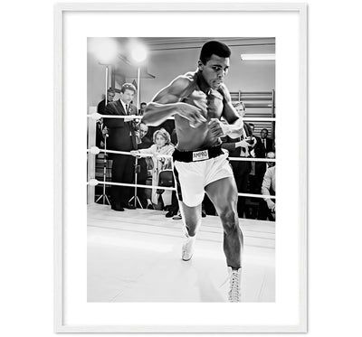 BORN TO FIGHT