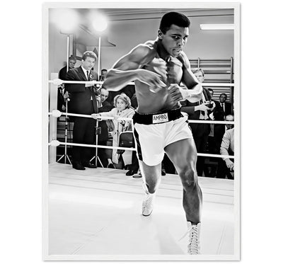 BORN TO FIGHT