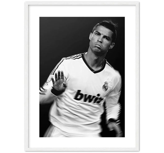 CALMA - 2009