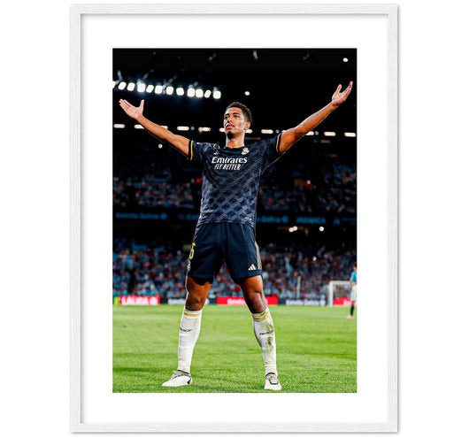 Belligoal