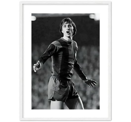 ICON - AMS
