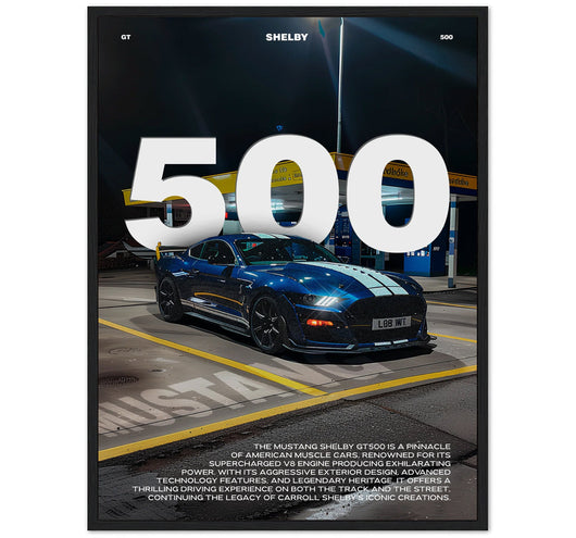 Shelby 500