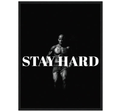 STAY HARD