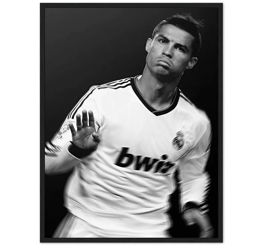 CALMA - 2009