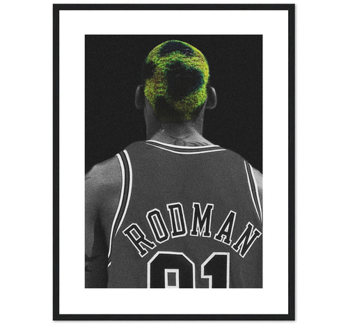 RODMAN - GREEN