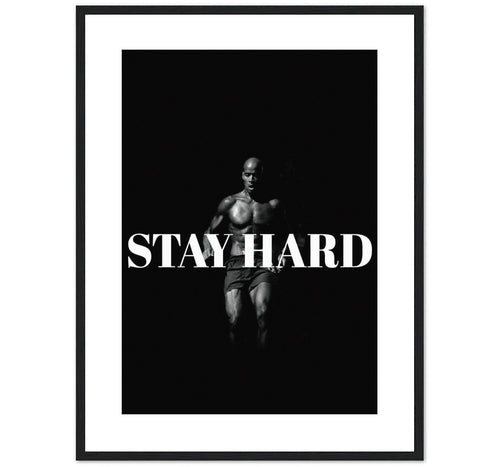 STAY HARD