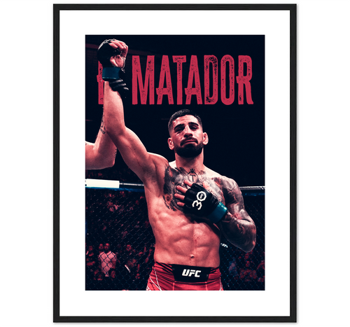 EL MATADOR