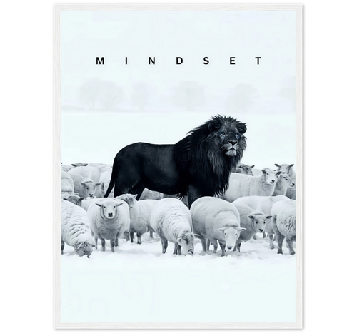 BIG MINDSET